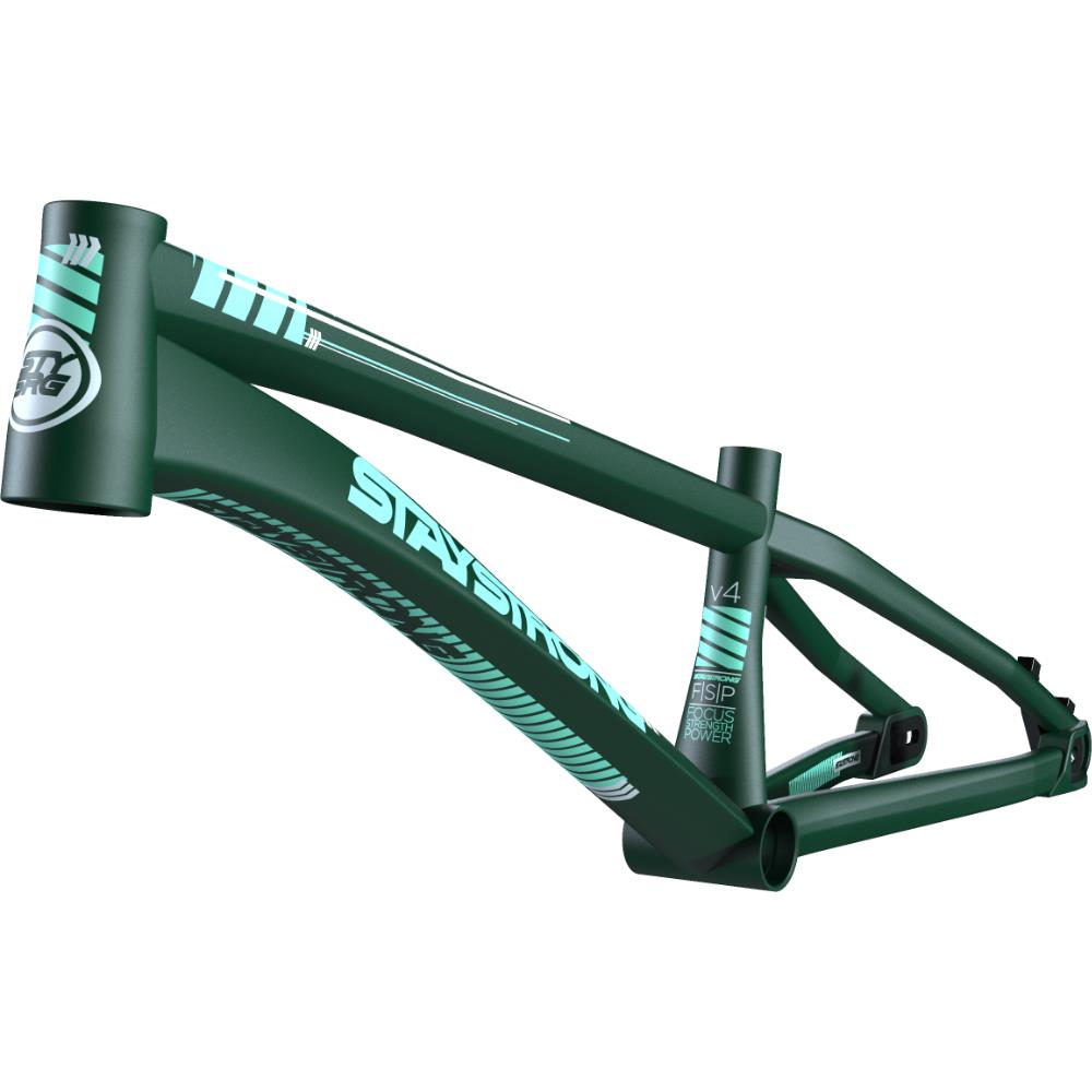 Stay Strong For Life V4 Junior Race Frame staystrong